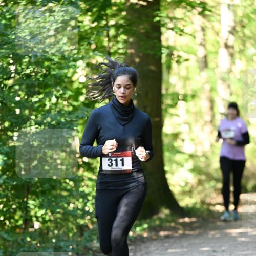 06.10.2024 - Bramfelder Halbmarathon 2024 Dr. Thomas Lammeyer http://msf.ph/oto/7338969 06.10.2024 10:29:35 Laufen 311 meine-sportfotos.de