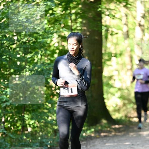 06.10.2024 - Bramfelder Halbmarathon 2024 Dr. Thomas Lammeyer http://msf.ph/oto/7338970 06.10.2024 10:29:35 Laufen 311 meine-sportfotos.de