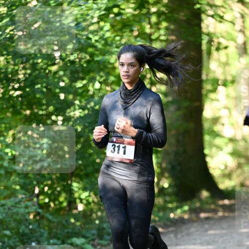 06.10.2024 - Bramfelder Halbmarathon 2024 Dr. Thomas Lammeyer http://msf.ph/oto/7338972 06.10.2024 10:29:35 Laufen 311 meine-sportfotos.de
