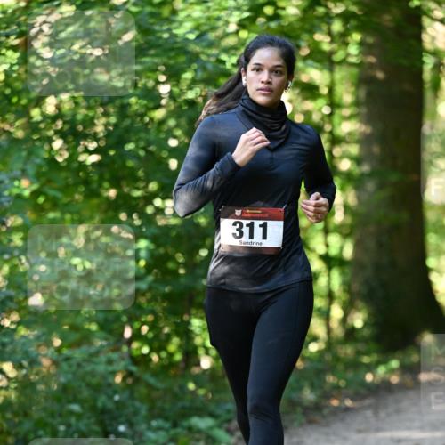 06.10.2024 - Bramfelder Halbmarathon 2024 Dr. Thomas Lammeyer http://msf.ph/oto/7338974 06.10.2024 10:29:36 Laufen 311 meine-sportfotos.de