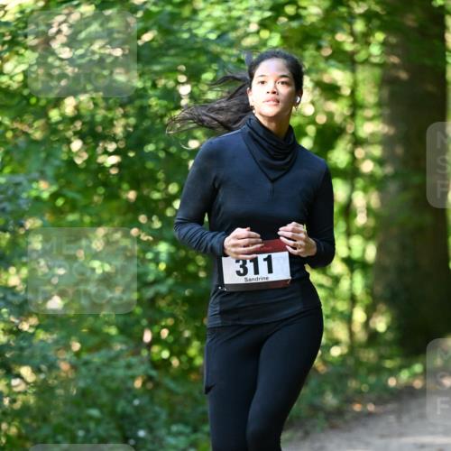 06.10.2024 - Bramfelder Halbmarathon 2024 Dr. Thomas Lammeyer http://msf.ph/oto/7338975 06.10.2024 10:29:36 Laufen 311 meine-sportfotos.de