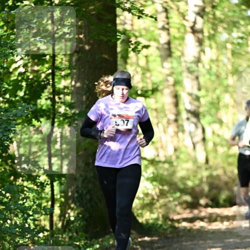 06.10.2024 - Bramfelder Halbmarathon 2024 Dr. Thomas Lammeyer http://msf.ph/oto/7338978 06.10.2024 10:29:38 Laufen 507 meine-sportfotos.de