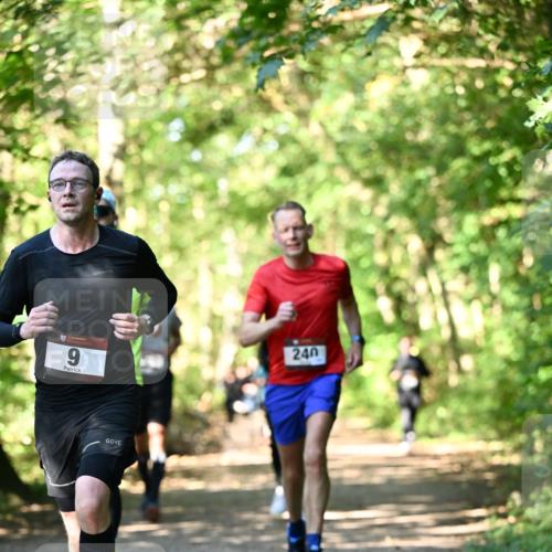 06.10.2024 - Bramfelder Halbmarathon 2024 Dr. Thomas Lammeyer http://msf.ph/oto/7338986 06.10.2024 10:29:40 Laufen 9, 240 meine-sportfotos.de
