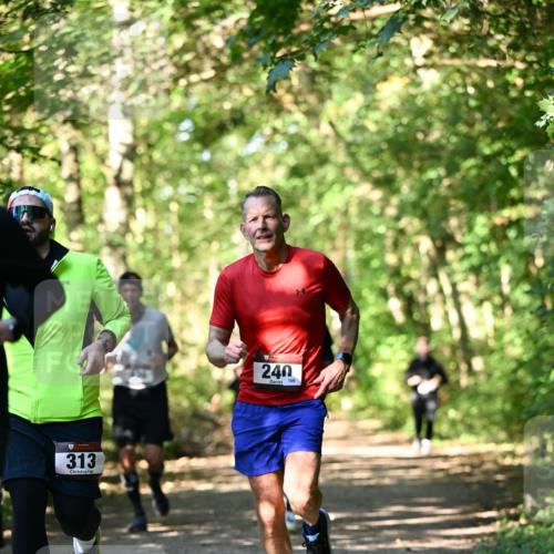 06.10.2024 - Bramfelder Halbmarathon 2024 Dr. Thomas Lammeyer http://msf.ph/oto/7338988 06.10.2024 10:29:41 Laufen 313, 240, 106 meine-sportfotos.de