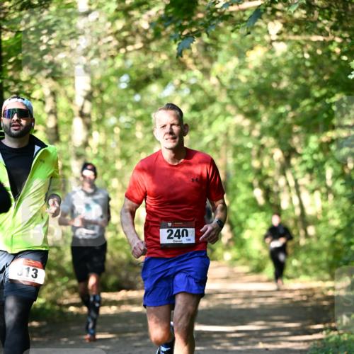 06.10.2024 - Bramfelder Halbmarathon 2024 Dr. Thomas Lammeyer http://msf.ph/oto/7338990 06.10.2024 10:29:41 Laufen 313, 240, 106 meine-sportfotos.de