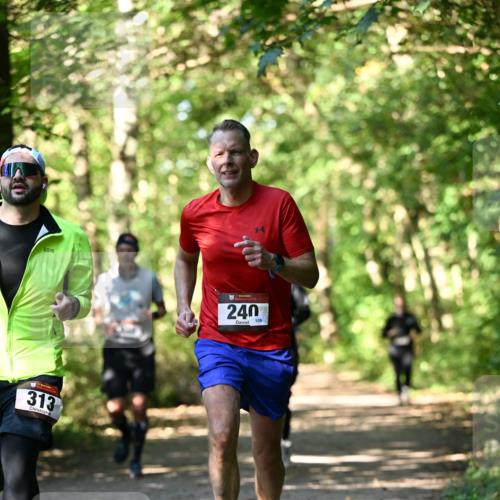 06.10.2024 - Bramfelder Halbmarathon 2024 Dr. Thomas Lammeyer http://msf.ph/oto/7338991 06.10.2024 10:29:41 Laufen 313, 240, 106 meine-sportfotos.de