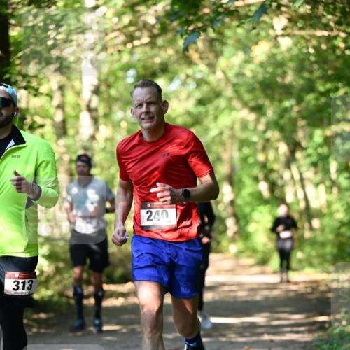 06.10.2024 - Bramfelder Halbmarathon 2024 Dr. Thomas Lammeyer http://msf.ph/oto/7338992 06.10.2024 10:29:41 Laufen 313, 240 meine-sportfotos.de