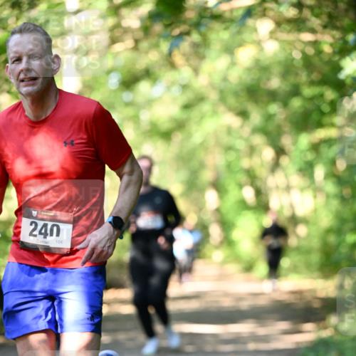 06.10.2024 - Bramfelder Halbmarathon 2024 Dr. Thomas Lammeyer http://msf.ph/oto/7338998 06.10.2024 10:29:42 Laufen 240, 106 meine-sportfotos.de