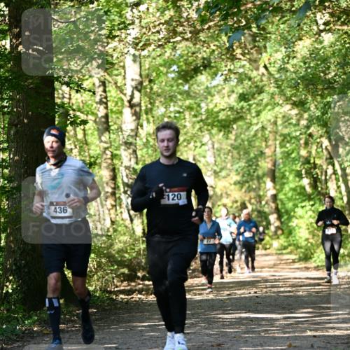 06.10.2024 - Bramfelder Halbmarathon 2024 Dr. Thomas Lammeyer http://msf.ph/oto/7339000 06.10.2024 10:29:43 Laufen 120, 436 meine-sportfotos.de