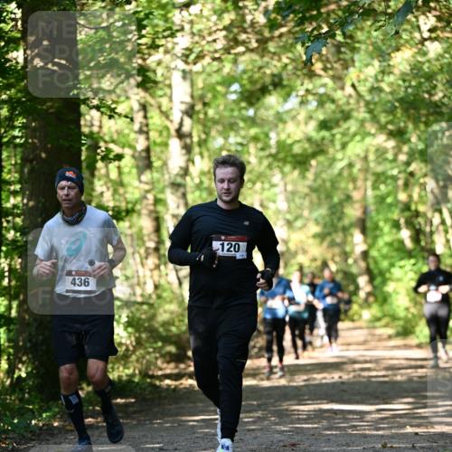 06.10.2024 - Bramfelder Halbmarathon 2024 Dr. Thomas Lammeyer http://msf.ph/oto/7339001 06.10.2024 10:29:43 Laufen 436, 120 meine-sportfotos.de