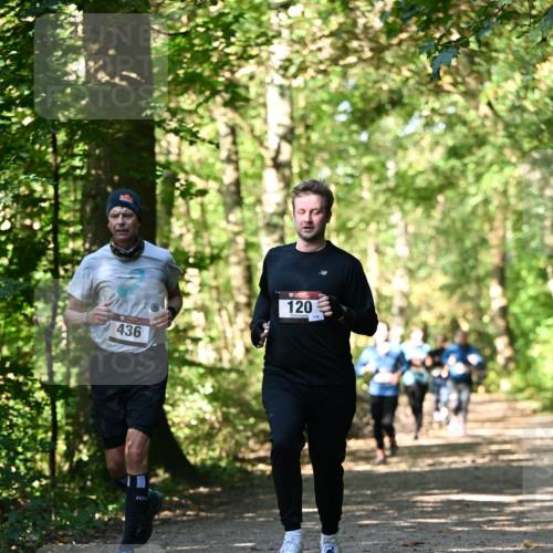 06.10.2024 - Bramfelder Halbmarathon 2024 Dr. Thomas Lammeyer http://msf.ph/oto/7339003 06.10.2024 10:29:43 Laufen 436, 120, 119 meine-sportfotos.de