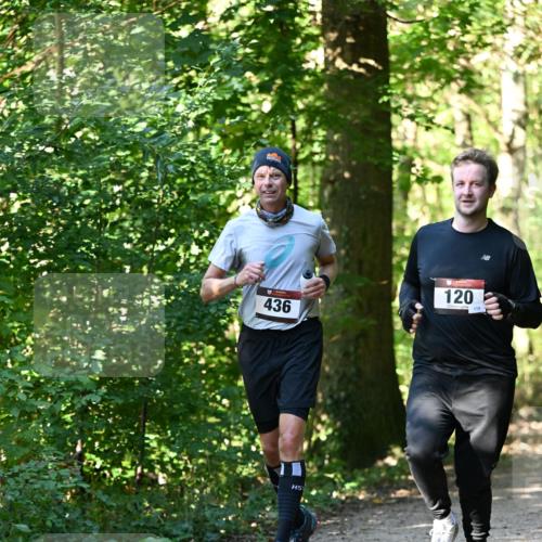 06.10.2024 - Bramfelder Halbmarathon 2024 Dr. Thomas Lammeyer http://msf.ph/oto/7339005 06.10.2024 10:29:44 Laufen 436, 120, 119 meine-sportfotos.de