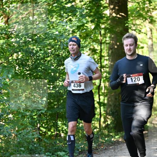 06.10.2024 - Bramfelder Halbmarathon 2024 Dr. Thomas Lammeyer http://msf.ph/oto/7339008 06.10.2024 10:29:44 Laufen 120, 436 meine-sportfotos.de