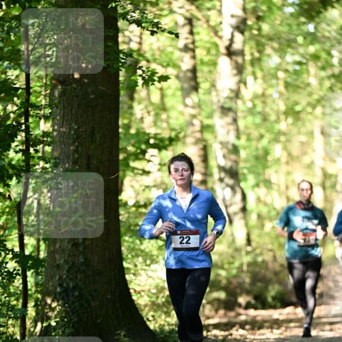 06.10.2024 - Bramfelder Halbmarathon 2024 Dr. Thomas Lammeyer http://msf.ph/oto/7339013 06.10.2024 10:29:49 Laufen 22 meine-sportfotos.de