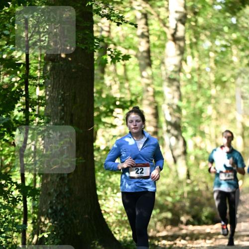 06.10.2024 - Bramfelder Halbmarathon 2024 Dr. Thomas Lammeyer http://msf.ph/oto/7339014 06.10.2024 10:29:49 Laufen 22 meine-sportfotos.de
