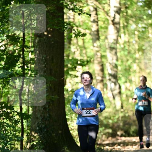 06.10.2024 - Bramfelder Halbmarathon 2024 Dr. Thomas Lammeyer http://msf.ph/oto/7339015 06.10.2024 10:29:49 Laufen 22 meine-sportfotos.de