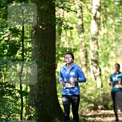 06.10.2024 - Bramfelder Halbmarathon 2024 Dr. Thomas Lammeyer http://msf.ph/oto/7339016 06.10.2024 10:29:49 Laufen  meine-sportfotos.de