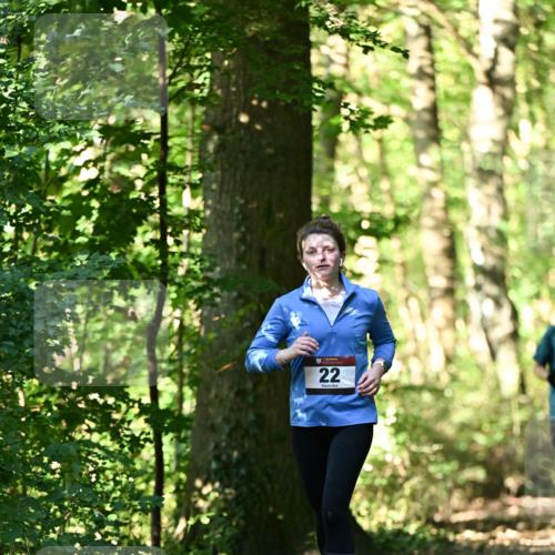 06.10.2024 - Bramfelder Halbmarathon 2024 Dr. Thomas Lammeyer http://msf.ph/oto/7339019 06.10.2024 10:29:49 Laufen 22 meine-sportfotos.de