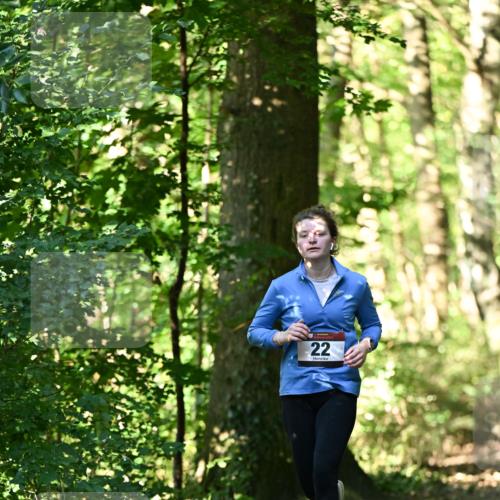 06.10.2024 - Bramfelder Halbmarathon 2024 Dr. Thomas Lammeyer http://msf.ph/oto/7339020 06.10.2024 10:29:49 Laufen 22 meine-sportfotos.de