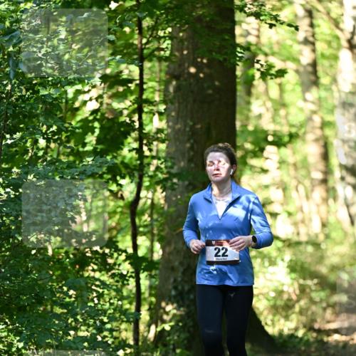 06.10.2024 - Bramfelder Halbmarathon 2024 Dr. Thomas Lammeyer http://msf.ph/oto/7339021 06.10.2024 10:29:50 Laufen 22 meine-sportfotos.de