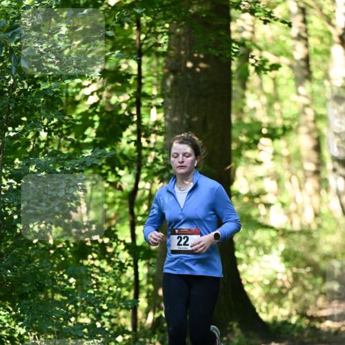 06.10.2024 - Bramfelder Halbmarathon 2024 Dr. Thomas Lammeyer http://msf.ph/oto/7339023 06.10.2024 10:29:50 Laufen 22 meine-sportfotos.de