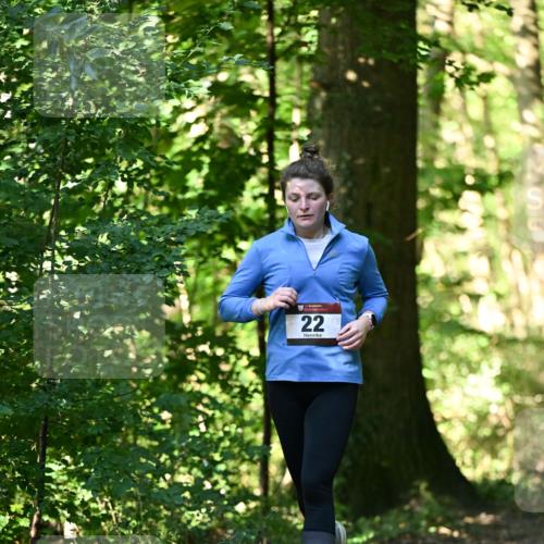 06.10.2024 - Bramfelder Halbmarathon 2024 Dr. Thomas Lammeyer http://msf.ph/oto/7339025 06.10.2024 10:29:50 Laufen 22, 22 meine-sportfotos.de