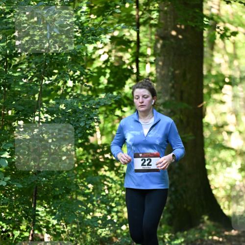 06.10.2024 - Bramfelder Halbmarathon 2024 Dr. Thomas Lammeyer http://msf.ph/oto/7339026 06.10.2024 10:29:50 Laufen 22 meine-sportfotos.de