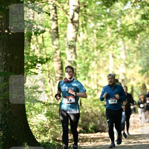 06.10.2024 - Bramfelder Halbmarathon 2024 Dr. Thomas Lammeyer http://msf.ph/oto/7339029 06.10.2024 10:29:51 Laufen 73, 268 meine-sportfotos.de