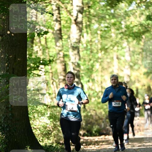 06.10.2024 - Bramfelder Halbmarathon 2024 Dr. Thomas Lammeyer http://msf.ph/oto/7339030 06.10.2024 10:29:51 Laufen 268 meine-sportfotos.de