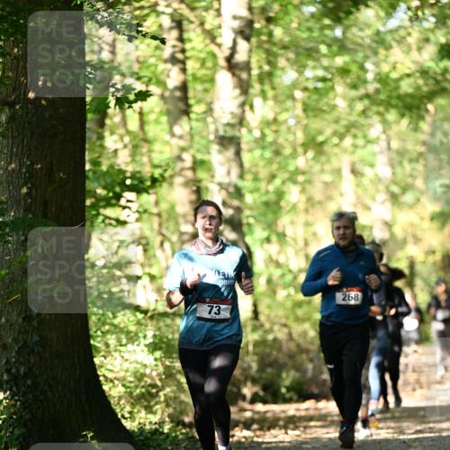 06.10.2024 - Bramfelder Halbmarathon 2024 Dr. Thomas Lammeyer http://msf.ph/oto/7339031 06.10.2024 10:29:51 Laufen 268, 73 meine-sportfotos.de