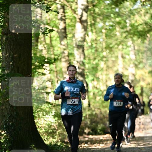 06.10.2024 - Bramfelder Halbmarathon 2024 Dr. Thomas Lammeyer http://msf.ph/oto/7339032 06.10.2024 10:29:51 Laufen 73, 268 meine-sportfotos.de