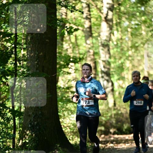 06.10.2024 - Bramfelder Halbmarathon 2024 Dr. Thomas Lammeyer http://msf.ph/oto/7339035 06.10.2024 10:29:52 Laufen 73, 268 meine-sportfotos.de