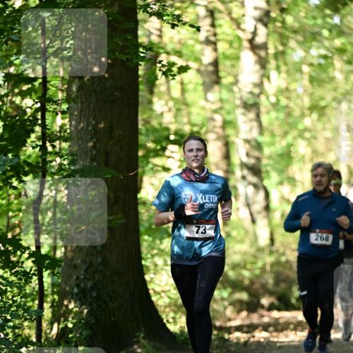06.10.2024 - Bramfelder Halbmarathon 2024 Dr. Thomas Lammeyer http://msf.ph/oto/7339037 06.10.2024 10:29:52 Laufen 73, 268 meine-sportfotos.de