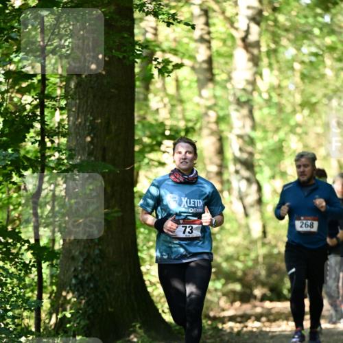 06.10.2024 - Bramfelder Halbmarathon 2024 Dr. Thomas Lammeyer http://msf.ph/oto/7339038 06.10.2024 10:29:52 Laufen 268, 73 meine-sportfotos.de