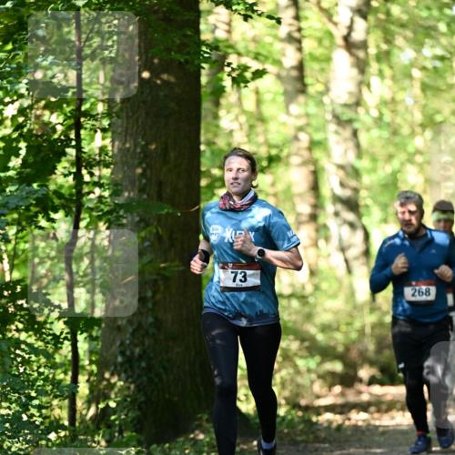 06.10.2024 - Bramfelder Halbmarathon 2024 Dr. Thomas Lammeyer http://msf.ph/oto/7339040 06.10.2024 10:29:53 Laufen 73, 268 meine-sportfotos.de