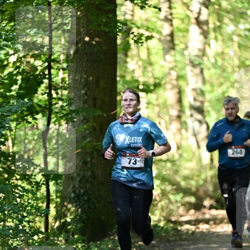06.10.2024 - Bramfelder Halbmarathon 2024 Dr. Thomas Lammeyer http://msf.ph/oto/7339041 06.10.2024 10:29:53 Laufen 268, 73 meine-sportfotos.de