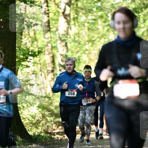06.10.2024 - Bramfelder Halbmarathon 2024 Dr. Thomas Lammeyer http://msf.ph/oto/7339044 06.10.2024 10:29:53 Laufen 268, 181 meine-sportfotos.de
