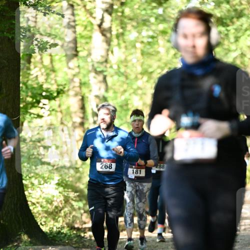 06.10.2024 - Bramfelder Halbmarathon 2024 Dr. Thomas Lammeyer http://msf.ph/oto/7339045 06.10.2024 10:29:54 Laufen 268, 288, 181 meine-sportfotos.de