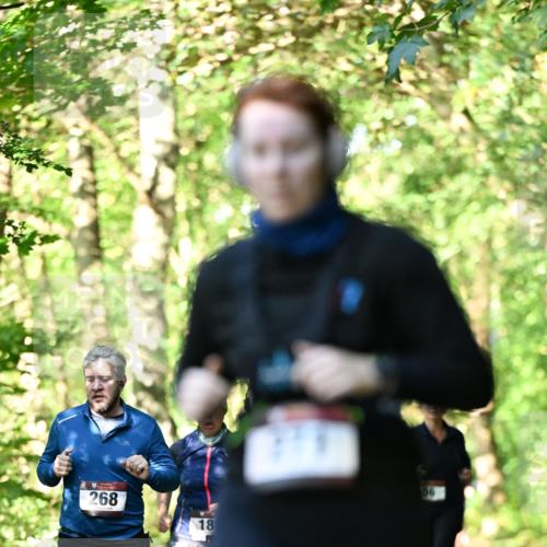 06.10.2024 - Bramfelder Halbmarathon 2024 Dr. Thomas Lammeyer http://msf.ph/oto/7339048 06.10.2024 10:29:54 Laufen 268, 18, 56 meine-sportfotos.de