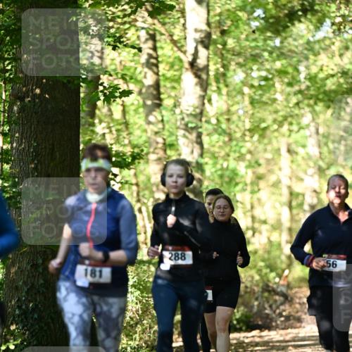 06.10.2024 - Bramfelder Halbmarathon 2024 Dr. Thomas Lammeyer http://msf.ph/oto/7339055 06.10.2024 10:29:57 Laufen 288, 56, 181 meine-sportfotos.de