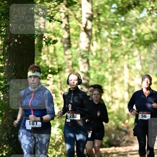 06.10.2024 - Bramfelder Halbmarathon 2024 Dr. Thomas Lammeyer http://msf.ph/oto/7339056 06.10.2024 10:29:57 Laufen 181, 288, 56 meine-sportfotos.de