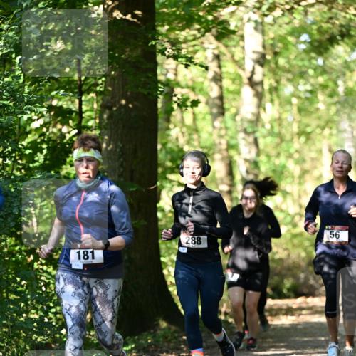 06.10.2024 - Bramfelder Halbmarathon 2024 Dr. Thomas Lammeyer http://msf.ph/oto/7339057 06.10.2024 10:29:57 Laufen 181, 288, 56 meine-sportfotos.de