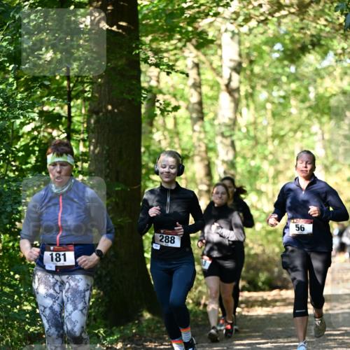 06.10.2024 - Bramfelder Halbmarathon 2024 Dr. Thomas Lammeyer http://msf.ph/oto/7339058 06.10.2024 10:29:58 Laufen 181, 288, 56 meine-sportfotos.de