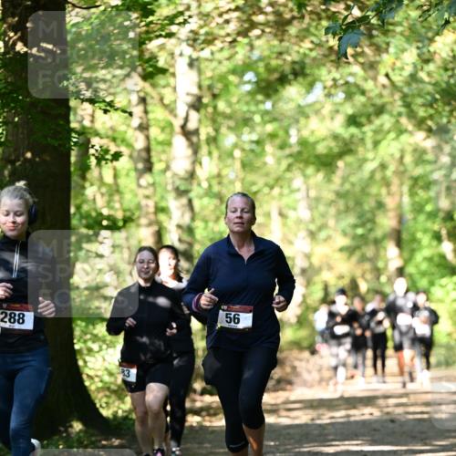 06.10.2024 - Bramfelder Halbmarathon 2024 Dr. Thomas Lammeyer http://msf.ph/oto/7339059 06.10.2024 10:29:58 Laufen 288, 83, 56 meine-sportfotos.de