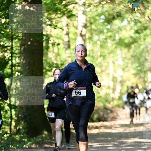 06.10.2024 - Bramfelder Halbmarathon 2024 Dr. Thomas Lammeyer http://msf.ph/oto/7339065 06.10.2024 10:29:59 Laufen 56 meine-sportfotos.de