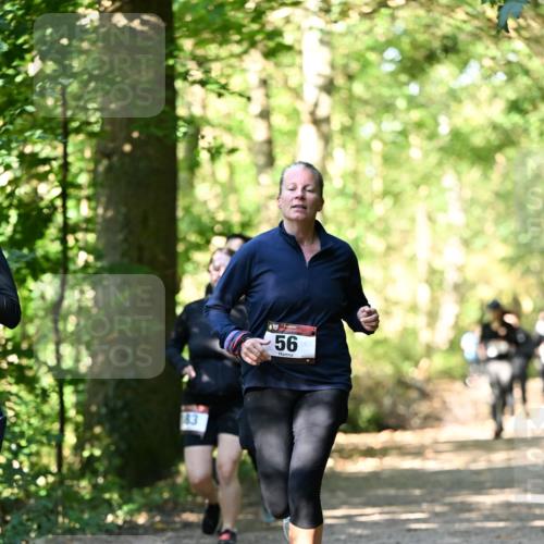 06.10.2024 - Bramfelder Halbmarathon 2024 Dr. Thomas Lammeyer http://msf.ph/oto/7339066 06.10.2024 10:29:59 Laufen 183, 56 meine-sportfotos.de