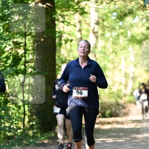 06.10.2024 - Bramfelder Halbmarathon 2024 Dr. Thomas Lammeyer http://msf.ph/oto/7339067 06.10.2024 10:30:00 Laufen 56 meine-sportfotos.de