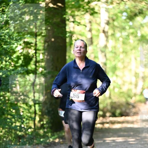 06.10.2024 - Bramfelder Halbmarathon 2024 Dr. Thomas Lammeyer http://msf.ph/oto/7339069 06.10.2024 10:30:00 Laufen  meine-sportfotos.de