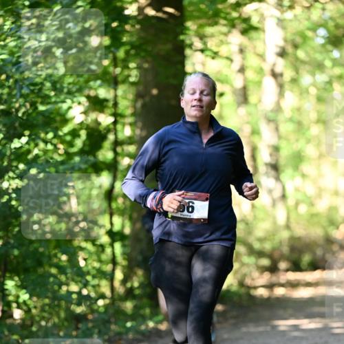 06.10.2024 - Bramfelder Halbmarathon 2024 Dr. Thomas Lammeyer http://msf.ph/oto/7339071 06.10.2024 10:30:00 Laufen 56 meine-sportfotos.de