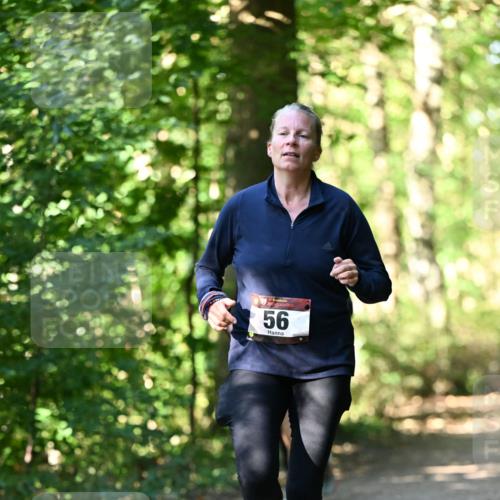 06.10.2024 - Bramfelder Halbmarathon 2024 Dr. Thomas Lammeyer http://msf.ph/oto/7339072 06.10.2024 10:30:00 Laufen 56 meine-sportfotos.de